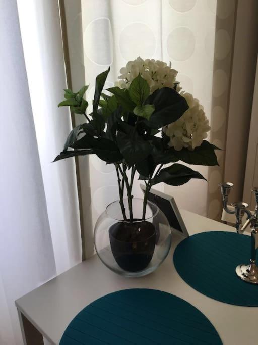 Apartment 1 Center โกอิมบรา ภายนอก รูปภาพ